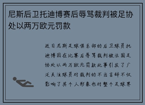 尼斯后卫托迪博赛后辱骂裁判被足协处以两万欧元罚款